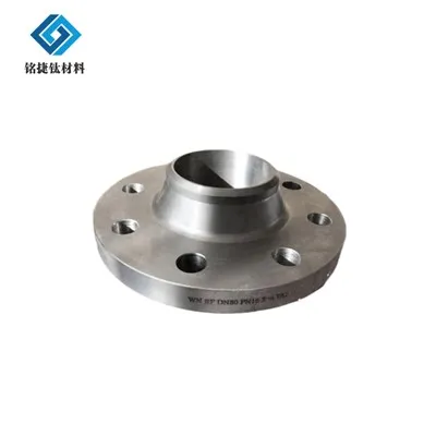 Gr5 Titanium Flens